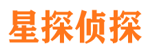 西安市调查公司